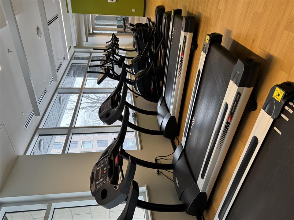 GYM 13