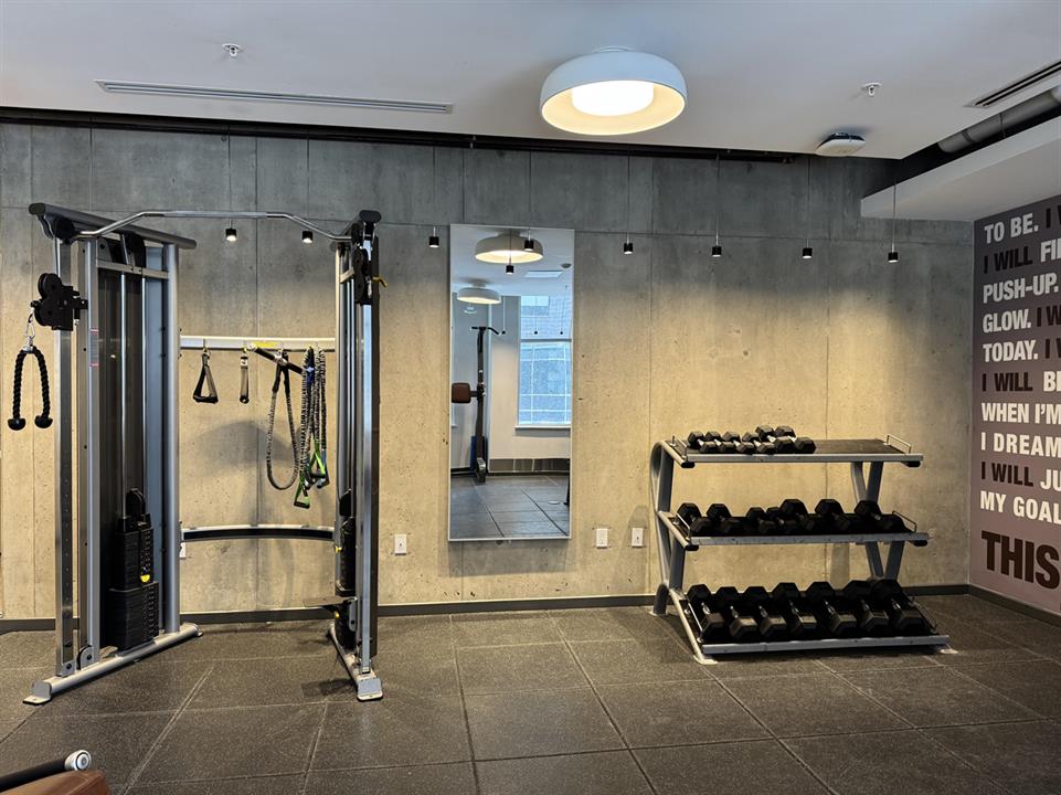GYM 15